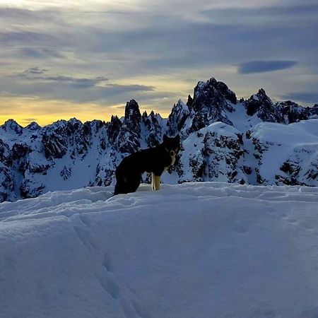 Appartamento Daniela Dolomiti. Auronzo di Cadore Esterno foto