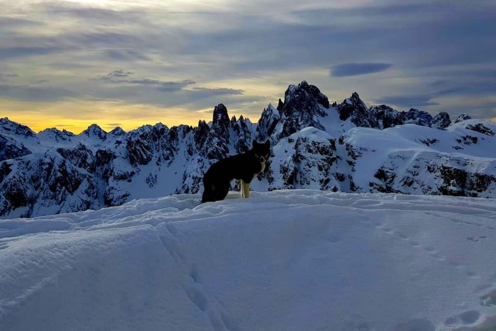 Appartamento Daniela Dolomiti. Auronzo di Cadore Esterno foto